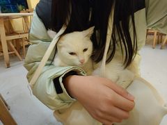 -正南齐北·老街糯米团(洪崖洞店)