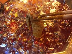 -蜀九香火锅(彩虹店)