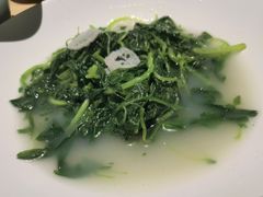 米汤捞苋菜-肆月河豚·淮扬菜·湘菜(华天店)