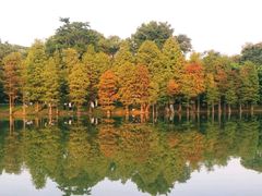 -华南国家植物园-售票处