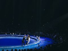 -珠海横琴长隆《卡卡虎奇遇记》