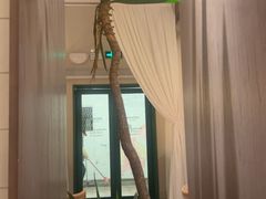 -沛家·西餐Brunch·直火料理