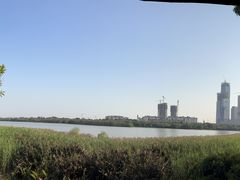 -华侨城湿地公园