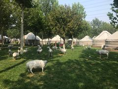 -九十九顶毡房(阜石路店)