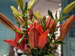 -南堂馆·新川菜(春熙路店)