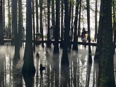 -东湖落雁景区