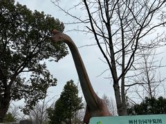 -顾村公园