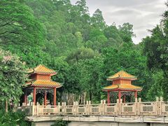 -顺峰山公园