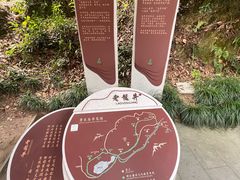 -十八棵（老龙井）御茶园(老龙井店)