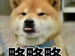 -六千馆(花都店)