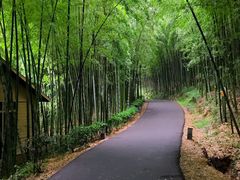 -苏州环秀晓筑养生度假村