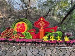 -金鸡山公园