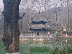 -习家池