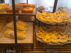 -幸福鸟动物奶油生日蛋糕(军校店)