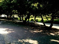 -四海公园(南山区)