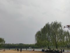 -大兴滨河森林公园