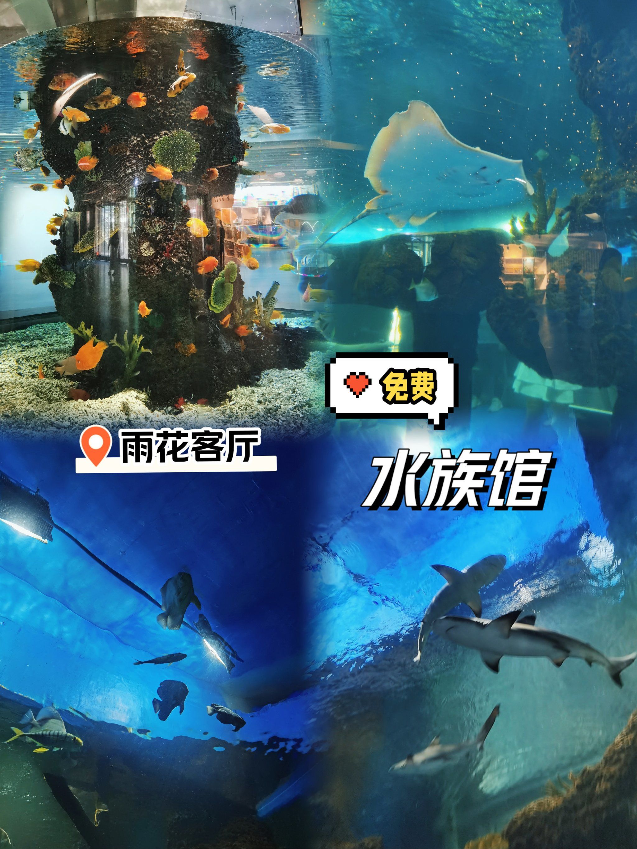 必打卡︱南京超美腻的免费海底世界78