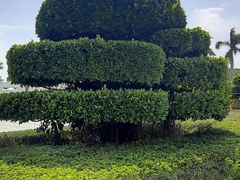 -厦门国家会计学院