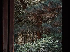 -兰亭风景区