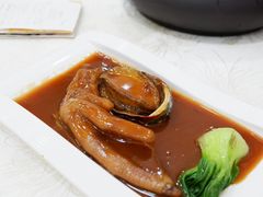 鹅掌拼鲍鱼-有腥气私房菜·寻味顺德