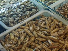 -鑫正兴东北烧烤(滨湖店)
