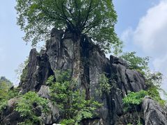 -玉石林风景区