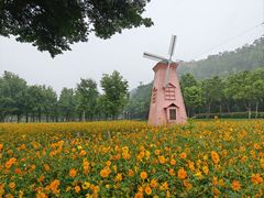 -顺峰山公园