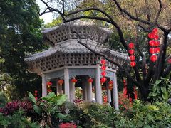 -荔湾湖公园