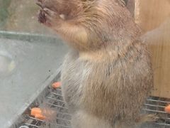-青岛鑫江温德姆酒店