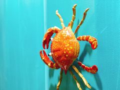 -唔止卤嘢·潮州府城菜(鹭江店)