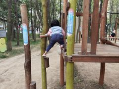 -李村大集