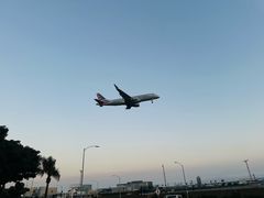 -In-N-Out Burger(LAX)