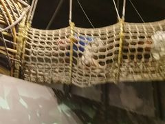 -珠海横琴国家地理探险家中心(创新方)