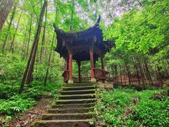 -凤栖山