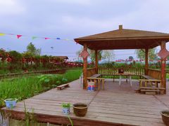 -同銮特种养殖场·龙虾垂钓