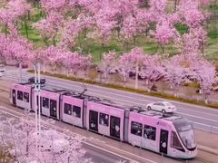 -百年尹氏汤包(湖南路狮子桥店)