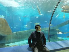 -福州罗源湾海洋世界旅游区