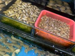 -小铜锣湾海鲜家常菜馆(河西店)