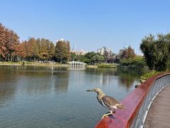 -四海公园(南山区)