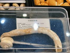 -万达广场(武汉菱角湖店)