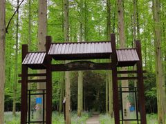 -东平国家森林公园