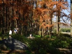 -共青国家森林公园-售票处