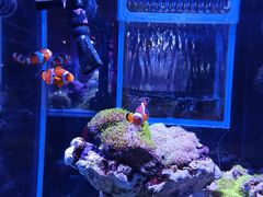 -海合安青岛极地海洋公园