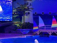 -海合安武汉极地海洋公园