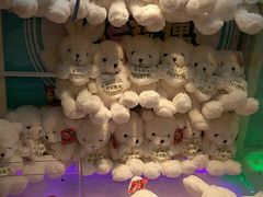 -PAWTOY爪e玩偶店(天兴罗斯福店)