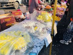 -蒲河大集