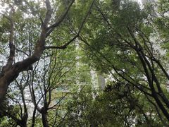 -滨江凯旋门