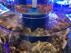 -新海渔港·胶东海鲜家常菜·家宴(奥体中心店)