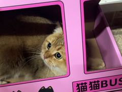 -烤匠麻辣烤鱼(万象城店)