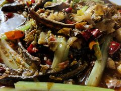 -春涛餐馆(下坝店)